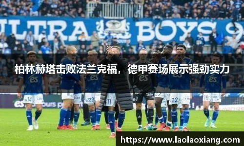 威廉williamhill中文官网
