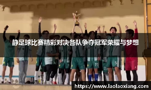 静足球比赛精彩对决各队争夺冠军荣耀与梦想